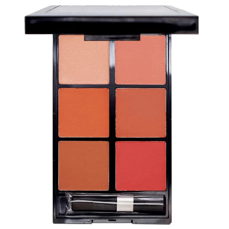 Beauty Blush On 6 Color Palette (Random Colors)